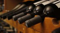Winter ski tour: Wine tasting tour in Rhine region