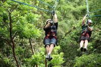  Ixpanpajul Natural Park Zipline and Eco-Adventure Tour from Flores