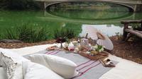 Ultimate Central Park Picnic Experience