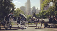 Central Park Date: Horse Carriage Ride with Tavern on the Green Dining Experience