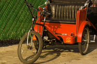 Visite de Central Park en Velotaxi