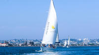 Small group san diego sailing trip in san diego 527800