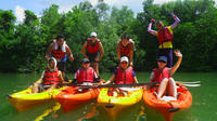 Pulau Ubin Mangrove Kayak Adventure from Singapore