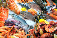 Visite en petit groupe à Shanghai: marché aux poissons et temple bouddhiste