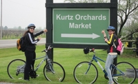 Tour à vélo et dégustation de vin à Niagara-on-the-Lake with déjeuner pique-nique en option de