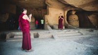 Half-Day Jungle Safari at The Kanheri Caves with Lunch   