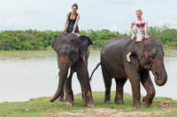 Private Tour: Jungle Adventure from Goa Including Elephant Ride and Lunch