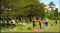 Yoga And Meditation Experience at Lodhi Gardens in Delhi