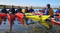 Sea Kayaking around Reykjavik