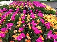 Evite las colas: Excursión de un día a los Jardines de Keukenhof, Haarlem y Holland Bulb Farm desde Ámsterdam Evite las colas: Excursión de un día a los Jardines de Keukenhof, Haarlem y Holland Bulb Farm desde Ámsterdam