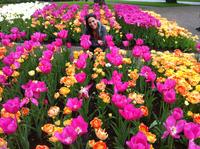 Skip-the-Line: Keukenhof Gardens, Haarlem and Holland Bulb Farm Day Trip from Amsterdam