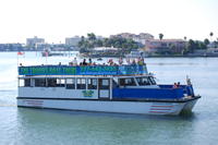 Clearwater Dolphin-Watching Tour