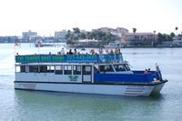 Excursion d'observation de dauphin