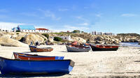 2-Day West Coast Faits saillants voyage et Skydive option de Cape Town
