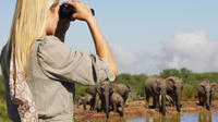 4-Day Addo and Garden Route Safari Guided Tour from Cape Town