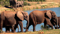 5-Day Garden Route Adventure with Addo Safari Guided Tour from Cape Town