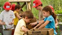 Elijah Mountain Gem Mine in Hendersonville