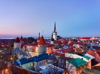 Tallinn Shore Excursion: Tallinn Sightseeing Tour by Coach and Foot