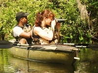 Excursion en kayak éco Dans la mangrove des Everglades de Floride
