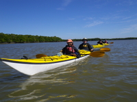 Excursion de 3 ou 4 jours de kayak et de camper DANS LES Everglades