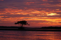 Marco Island Sunset or Moonlight Kayak Tour