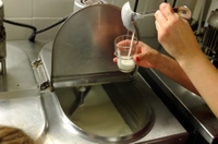 Cours de confection de glace artisanale à Rome