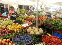 Vandretur i Rom med mindre gruppe: Trastevere, Campo de' Fiori og den jødiske ghetto Vandretur i Rom med mindre gruppe: Trastevere, Campo de' Fiori og den jødiske ghetto