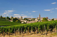 Bordeaux Super Saver: Médoc Wine Tour and Lunch plus St-Emilion or Graves