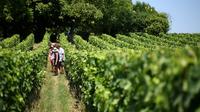 Burdeos Super Saver: Recorrido vinícola por Médoc con almuerzo y St-Emilion o Graves Burdeos Super Saver: Recorrido vinícola por Médoc con almuerzo y St-Emilion o Graves