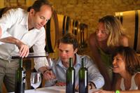 Private Tour: St-Emilion Route des Châteaux Wine Tasting from Bordeaux