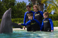 Dolphin Experience at the Miami Seaquarium