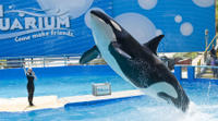 General Admission to the Miami Seaquarium