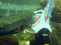 Underwater Helmet-Diving Experience at the Miami Seaquarium