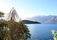 Lake Wakatipu Nature Walking Tour from Queenstown