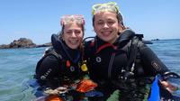Schnupperkurs im Sporttauchen auf Lanzarote Schnupperkurs im Sporttauchen auf Lanzarote