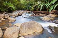 Small-Group Hiking Adventure through Grand Etang National  Park in Grenada