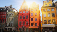 Visite à pied de la ville de Stockholm Incluant le musée Vasa