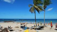 Excursão privada no litoral: Praias de Itapuã e Arembepe saindo de Salvador
