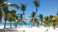 La Romana Shore Excursion: Special Saona Tour