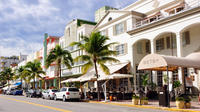 Miami Shore Excursion: Private Miami City Tour