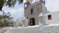 Private Arica and Ancient Cultures Tour