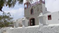 Private Arica Half-Day Ancient Cultures Tour