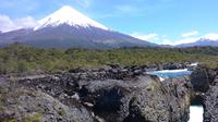 Private Tour: Puerto Montt, Puerto Varas and Vicente Peres Rosales National Park