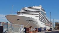 Private Transfer Buenos Aires Cruise Terminal to Airport - One Way or Round Trip