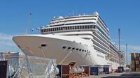 Private Transfer Hotel to Buenos Aires Cruise Terminal - One Way or Round Trip