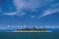 Afternoon Low Isles Snorkeling and Sailing Cruise from Port Douglas
