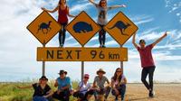 9-Day Perth to Adelaide Nullarbor Camping Adventure with Optional Shark Cage Dive and Swim with Sealions and Dolphins image 1 9-Day Perth to Adelaide Nullarbor Camping Adventure with Optional Shark Cage Dive and Swim with Sealions and Dolphins image 1