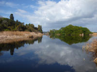 Boyd Hill Nature Preserve Bike Tour from St Petersburg