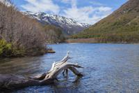 Cerro Tronador Day Trip from Bariloche