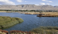 El Calafate Visite touristique de la ville y compris grottes Walichu